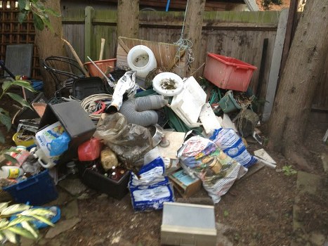 Final touches on a cleared garden in Lewisham showcasing clean, organized space